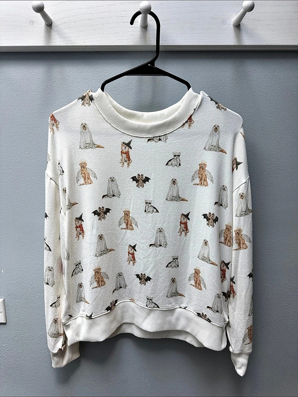 Z Supply Elle Puppy Love Long Sleeve Top White & Brown XS